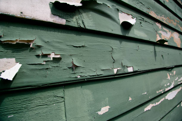 Best Fiber Cement Siding Installation  in Hoover, AL