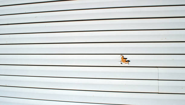 Best Custom Trim and Detailing for Siding  in Hoover, AL